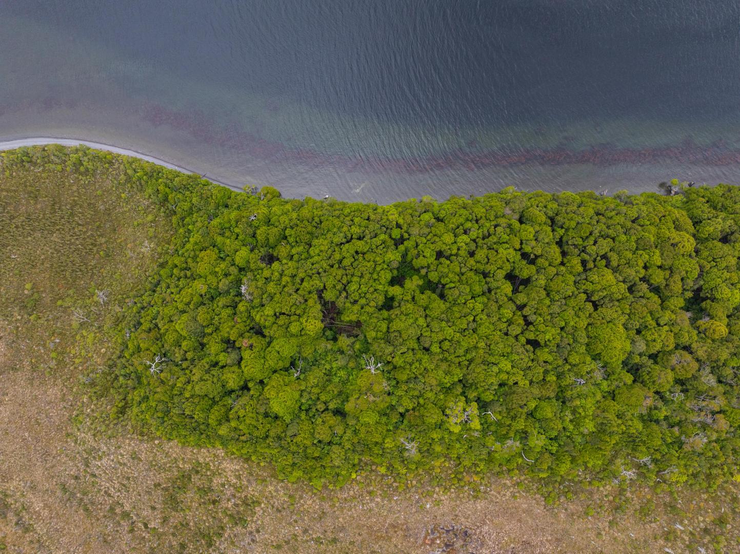 Isla Diego Portales – Private island in Chile, South America